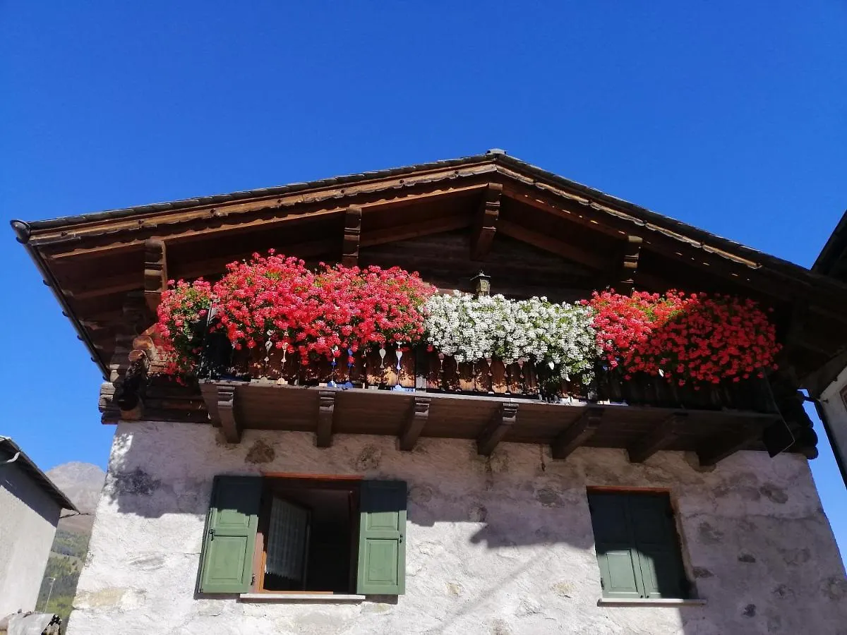 Casa Laura Apartment Isolaccia Italy